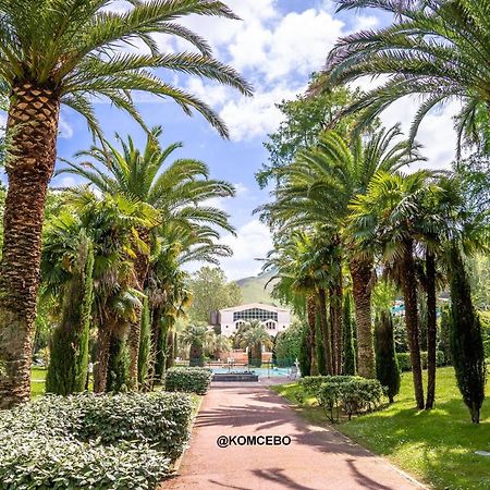 Appartement F2 A Cambo-Les-Bains Avec Piscine, Proche Thermes, Terrasse Et Parking - Fr-1-495-36 מראה חיצוני תמונה